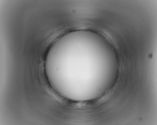 X0000092210366200709140906