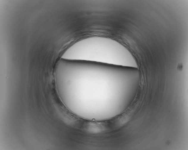 X0000092210367200709140906