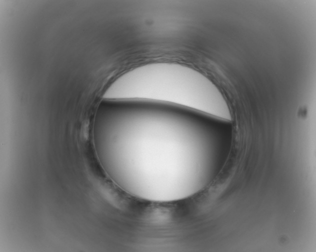 X0000092210368200709140906