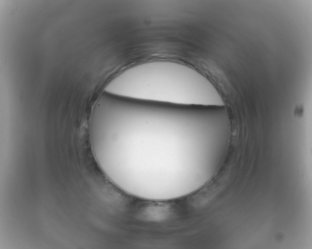 X0000092210369200709140906