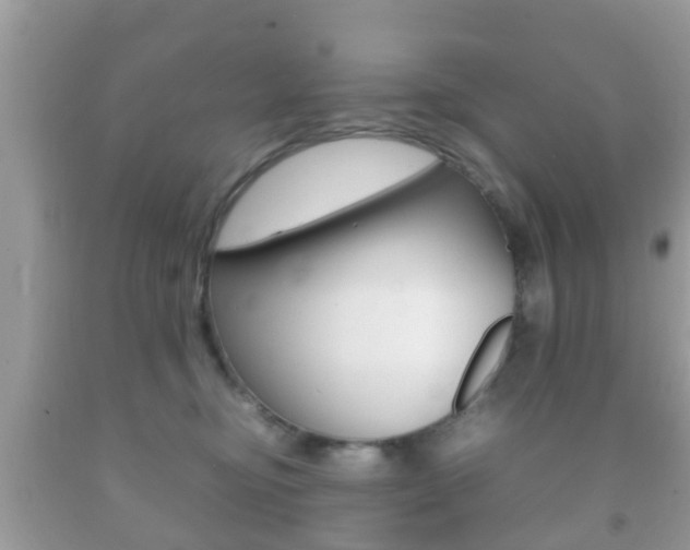 X0000092210374200709140906