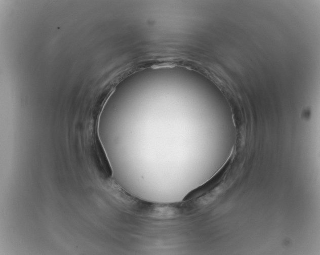 X0000092210376200709140906