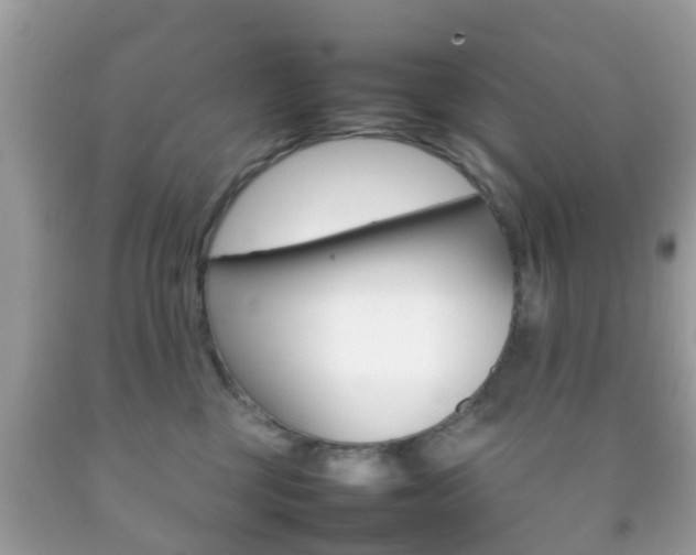 X0000092210377200709140906