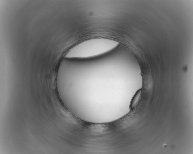 X0000092210378200709140906