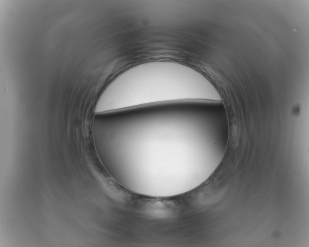 X0000092210379200709140906