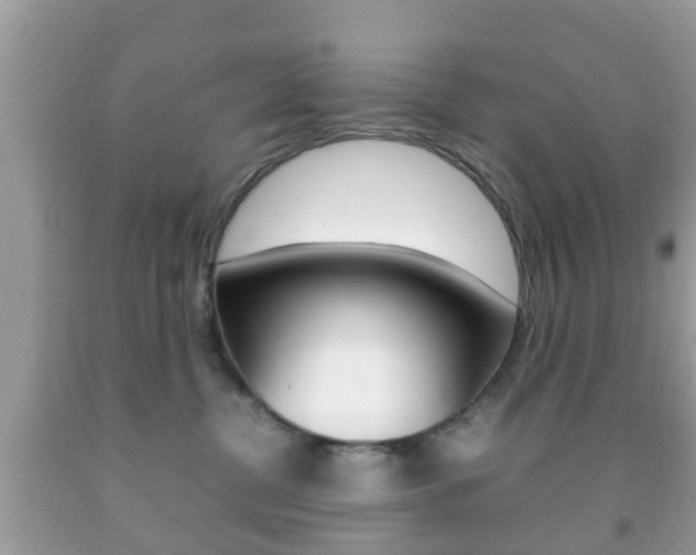 X0000092210380200709140906