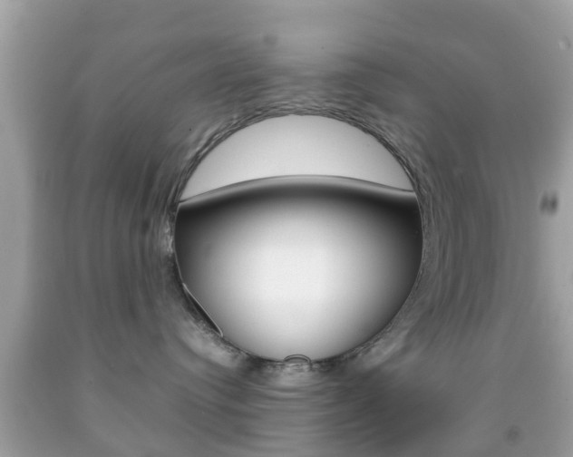 X0000092210384200709140906