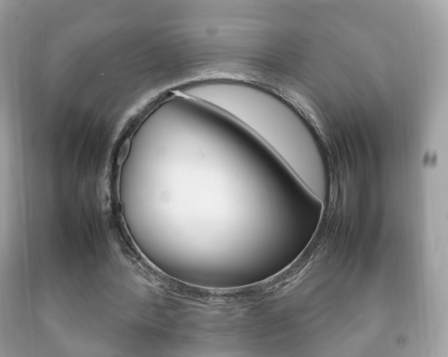 X0000092210388200709140905