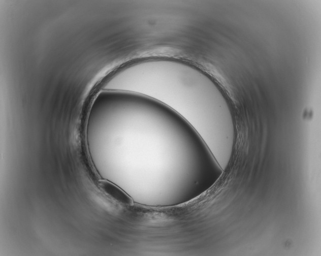 X0000092210392200709140905