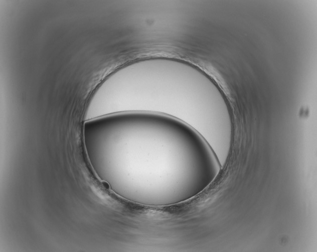 X0000092210393200709140905