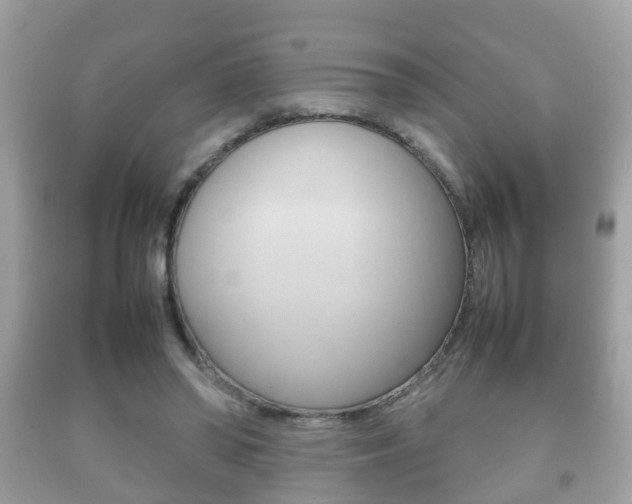 X0000092210398200709140905