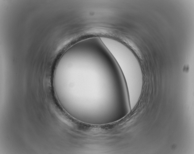 X0000092210399200709140905
