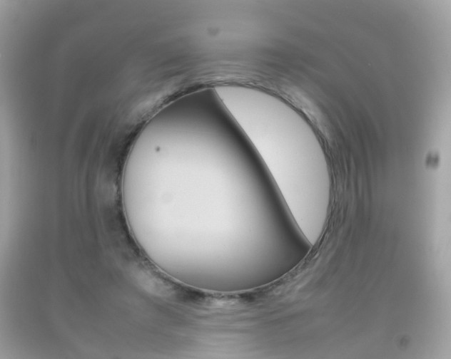 X0000092210401200709140905