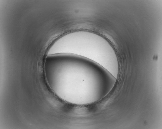 X0000092210403200709140905