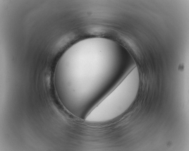 X0000092210404200709140905