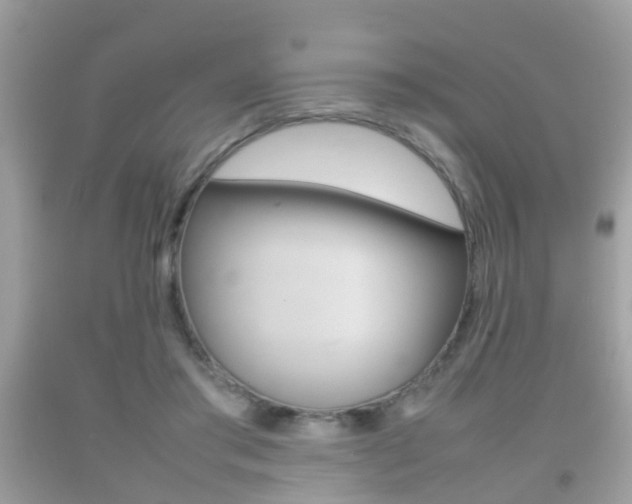 X0000092210405200709140905