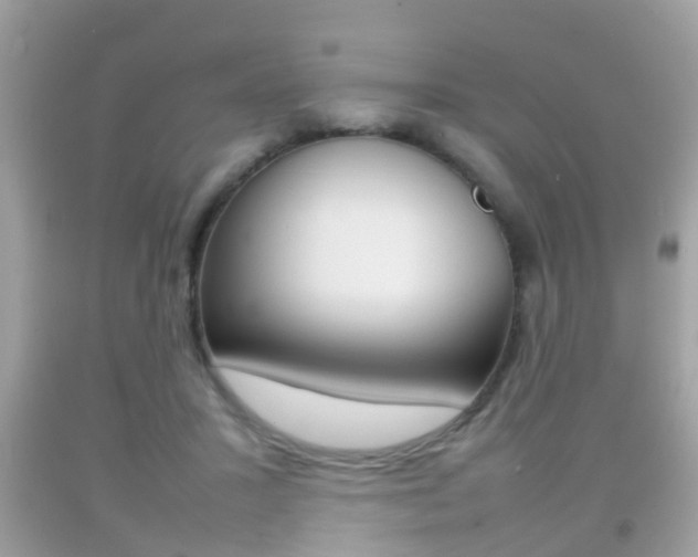 X0000092210407200709140905