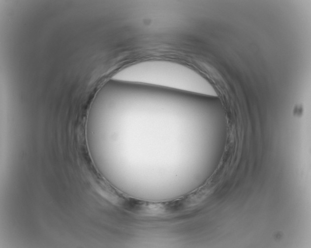 X0000092210409200709140905