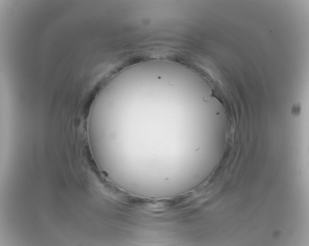 X0000092210411200709140905