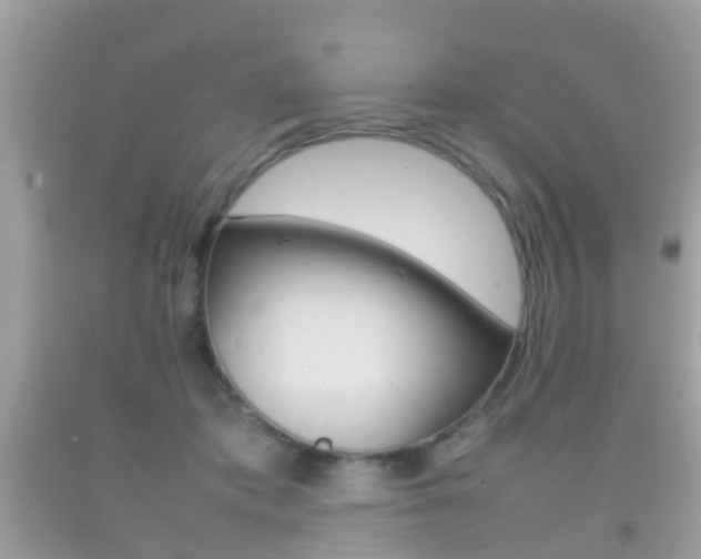 X0000092210413200709140905