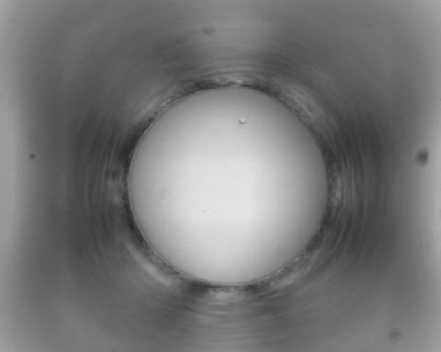 X0000092210414200709140905