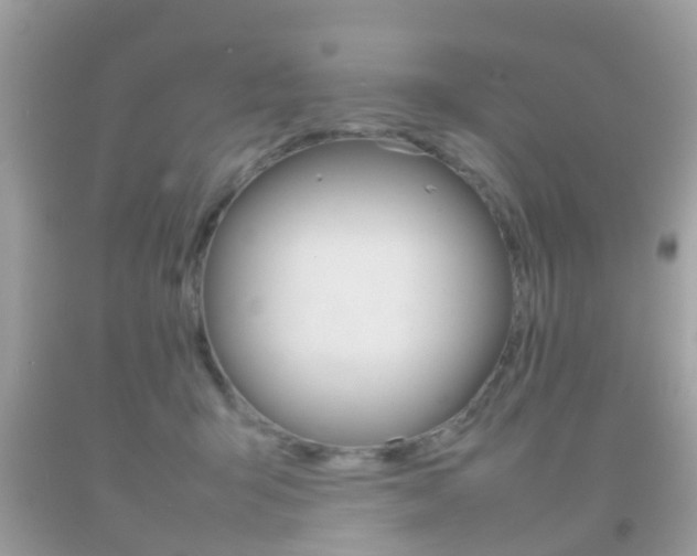 X0000092210415200709140905