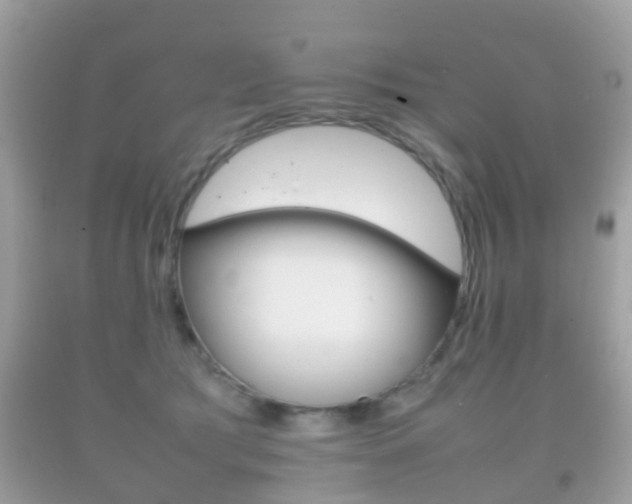 X0000092210417200709140905