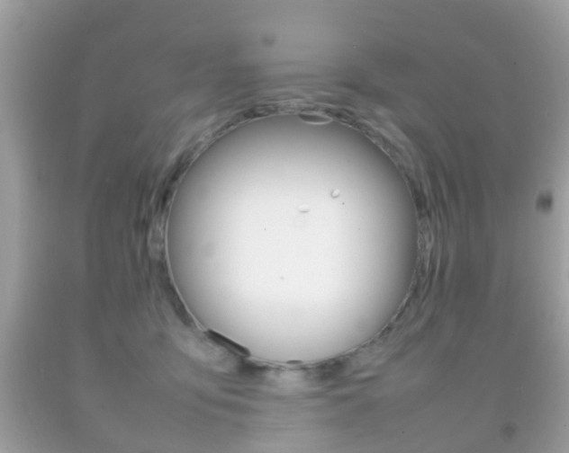 X0000092210419200709140905
