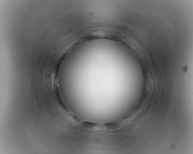 X0000092210420200709140905