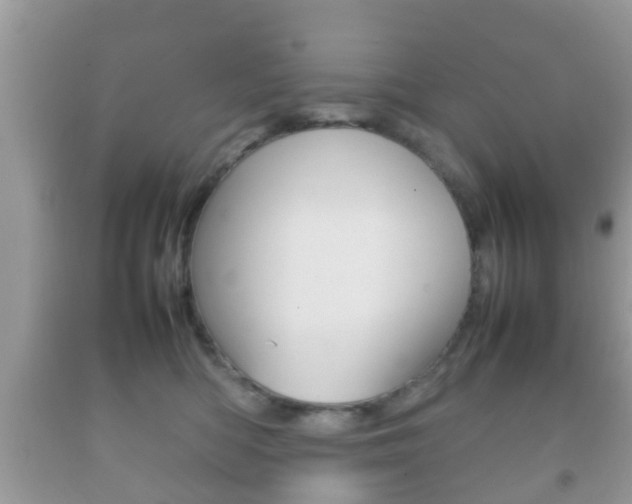 X0000092210422200709140905