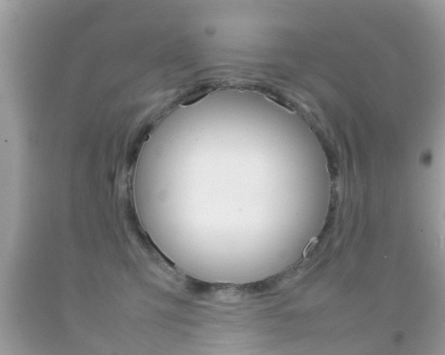 X0000092210423200709140905