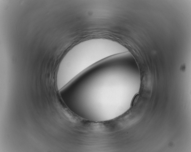 X0000092210424200709140905