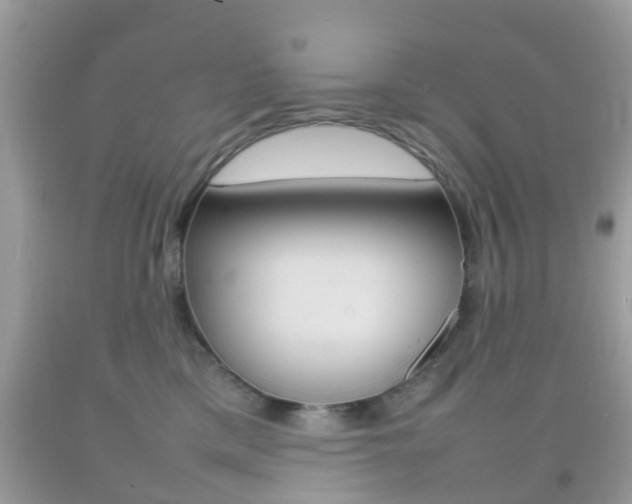 X0000092210425200709140905