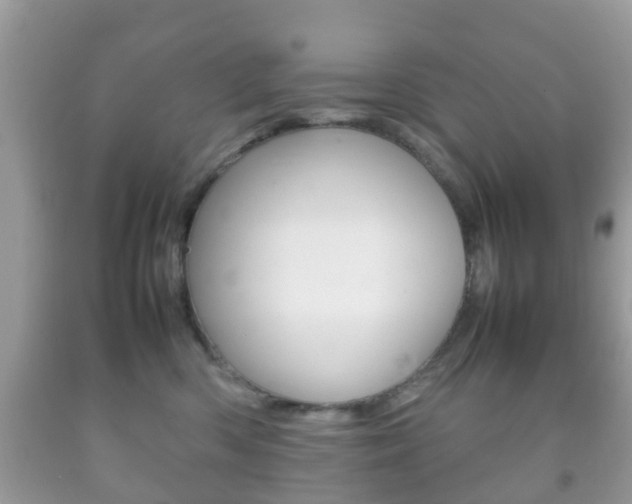X0000092210426200709140905