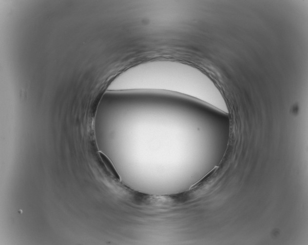 X0000092210429200709140905