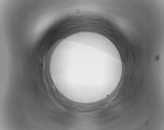 X0000092210431200709140905