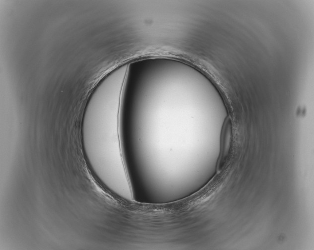 X0000092210433200709140904