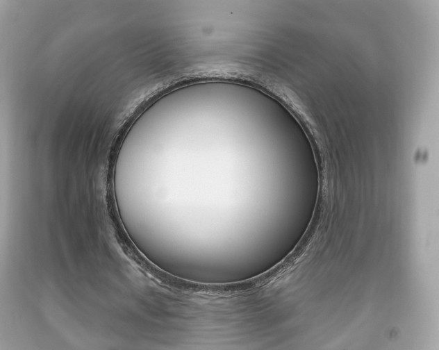 X0000092210434200709140904