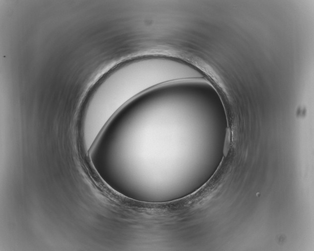X0000092210436200709140904