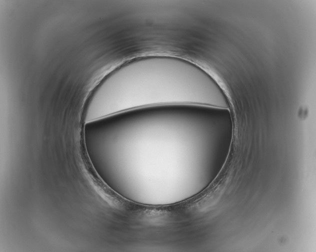 X0000092210437200709140904