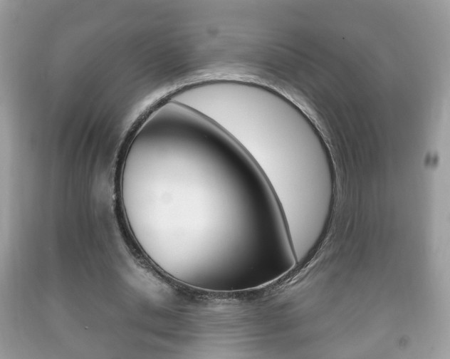 X0000092210438200709140904