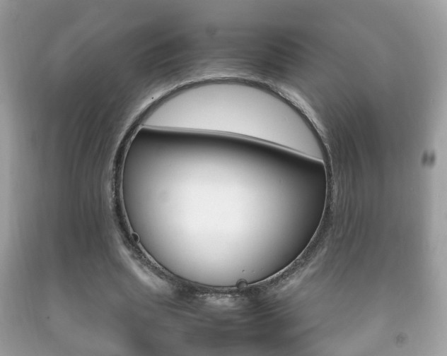 X0000092210439200709140904