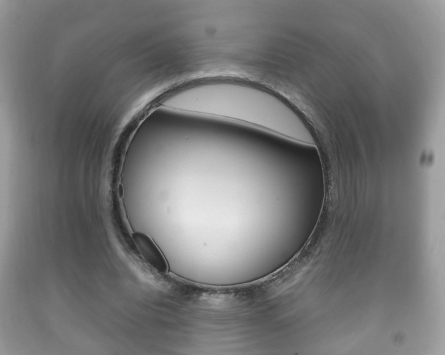 X0000092210440200709140904