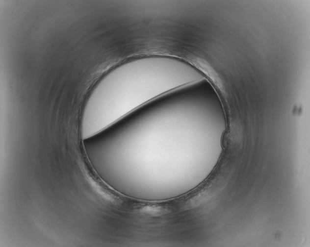 X0000092210441200709140904
