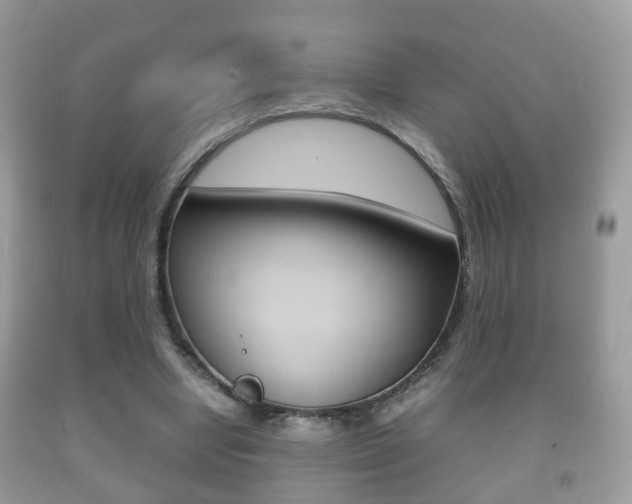 X0000092210442200709140904
