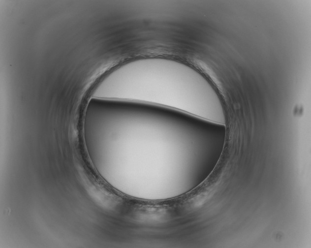 X0000092210443200709140904