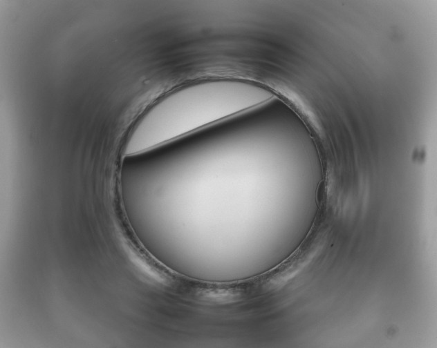 X0000092210445200709140904