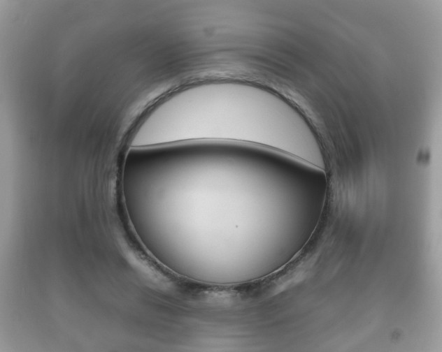X0000092210446200709140905