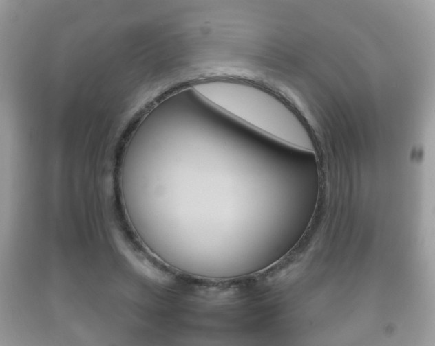 X0000092210447200709140905