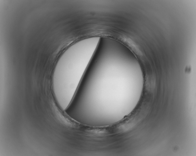 X0000092210449200709140905